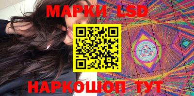 прущие грибы Усть-Илимск